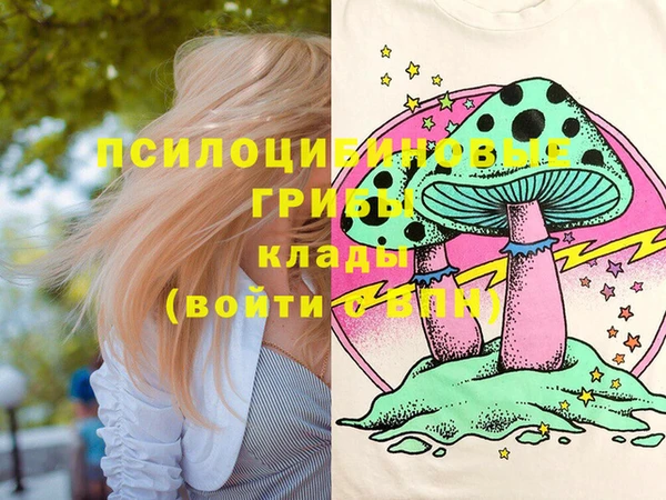 PSILOCYBIN Переславль-Залесский