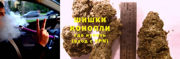 PSILOCYBIN Переславль-Залесский